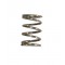 VALVE SPRING