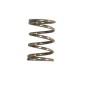 VALVE SPRING